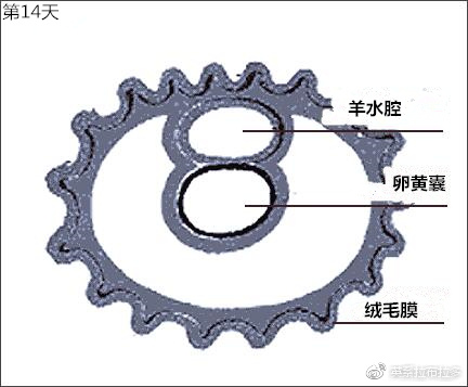 第14天