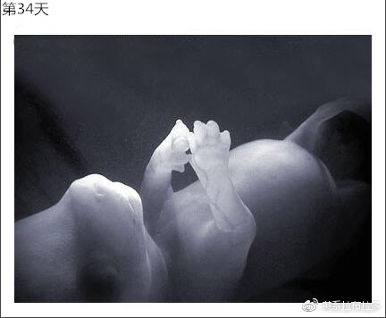 第34天