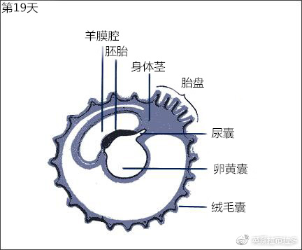 第19天