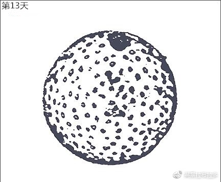 第13天